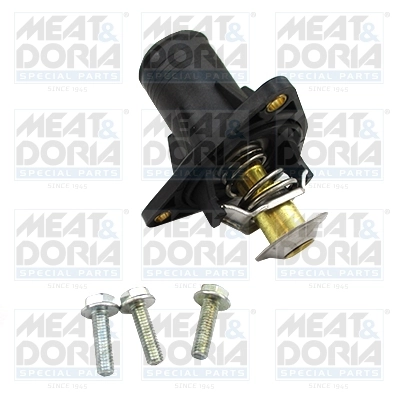 Thermostat, coolant
